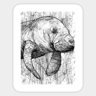 DUGONG pencil portrait .3 Sticker